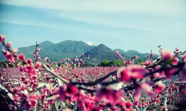 麗江戶外拓展訓(xùn)練基地