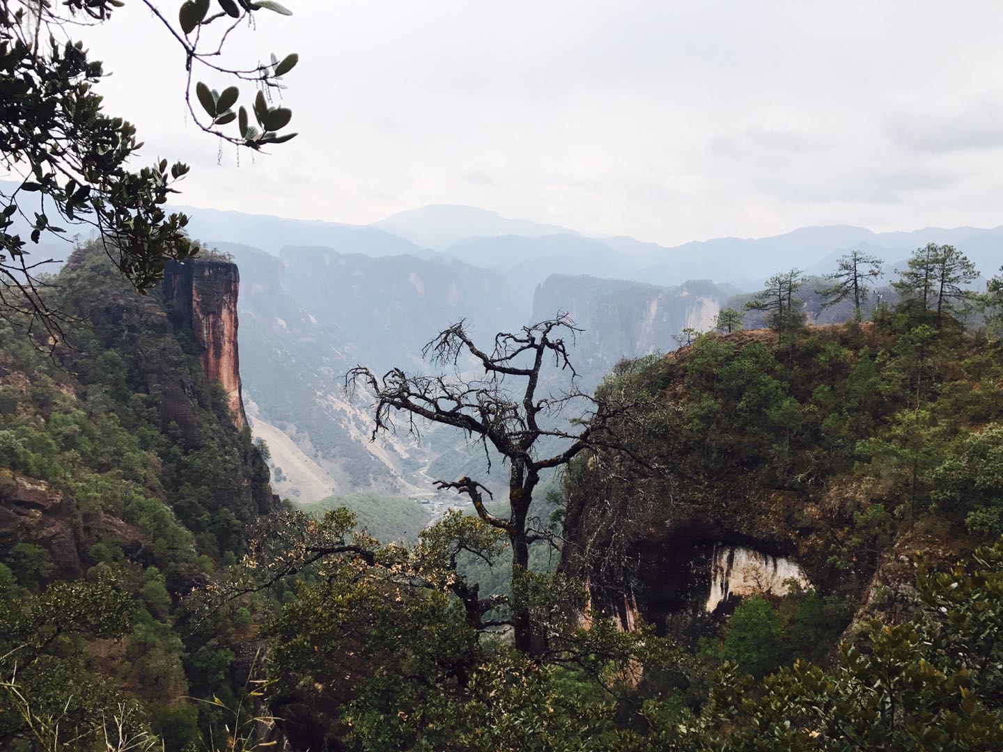 千龜山