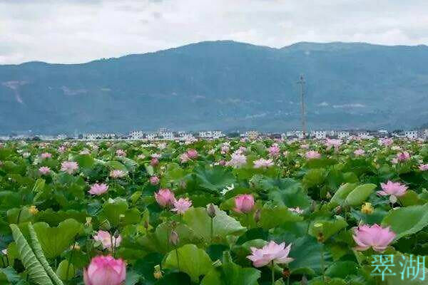 麗江翠湖