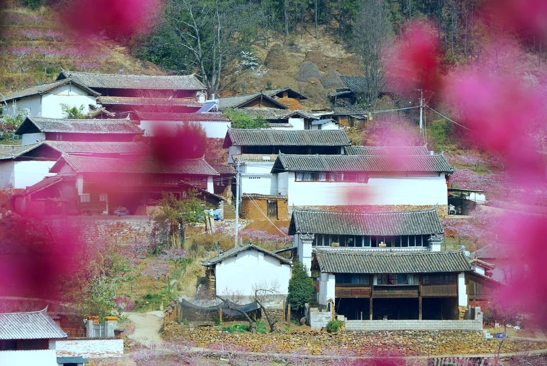 “郭靖”、“黃蓉”喊你來(lái)“桃花島”過(guò)日子……