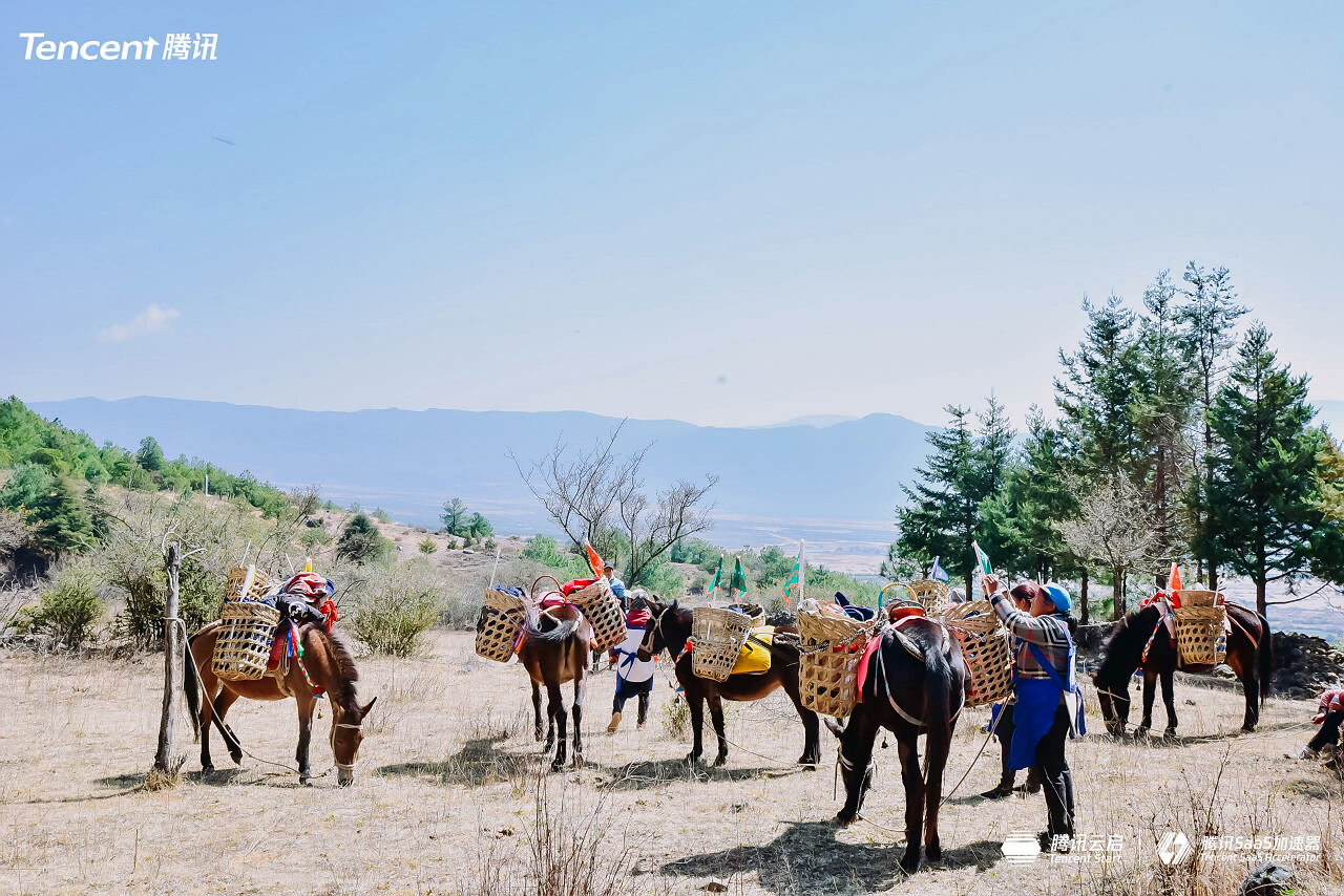 麗江玉湖村茶馬古道徒步團(tuán)建