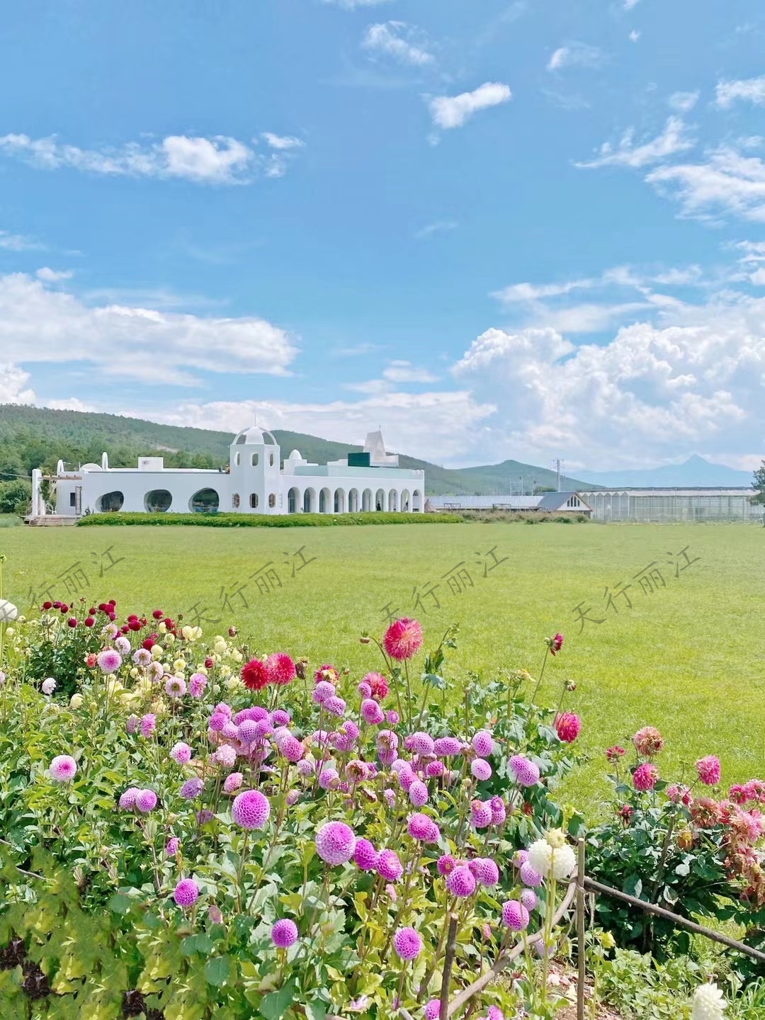 麗江聽花谷餐廳