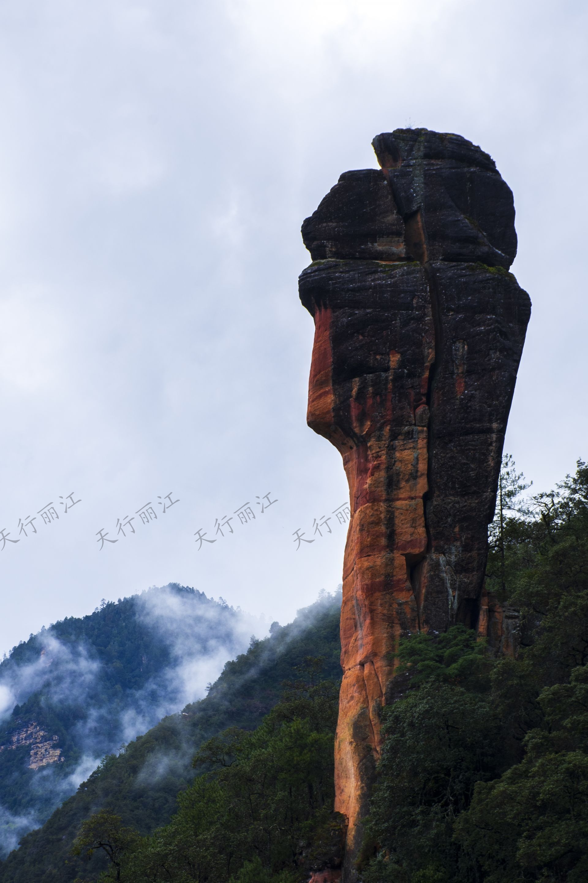 麗江老君山黎明景區(qū)因其避世的清幽、壯美的丹霞，成為了一處令人向往的秘境。 在這里，可以游壯美千龜山。景區(qū)以丹霞地貌聞名，是國內(nèi)面積最大、發(fā)育最完整的丹霞地貌。以千龜山為代表，其形如烏龜?shù)膲邀惥坝^，堪稱中國一絕。游人可乘坐索道，輕松游覽這一奇觀。