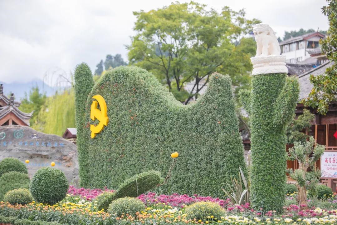 麗江古城菊花展