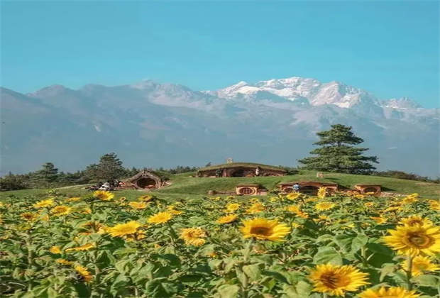 小心，來(lái)麗江玉龍雪山聽(tīng)花谷“聽(tīng)花”會(huì)上癮