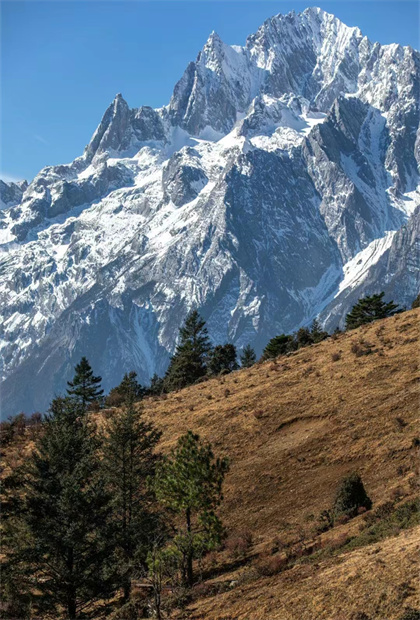 麗江旅游公司:玉龍雪山 牦牛坪人少震撼打卡地